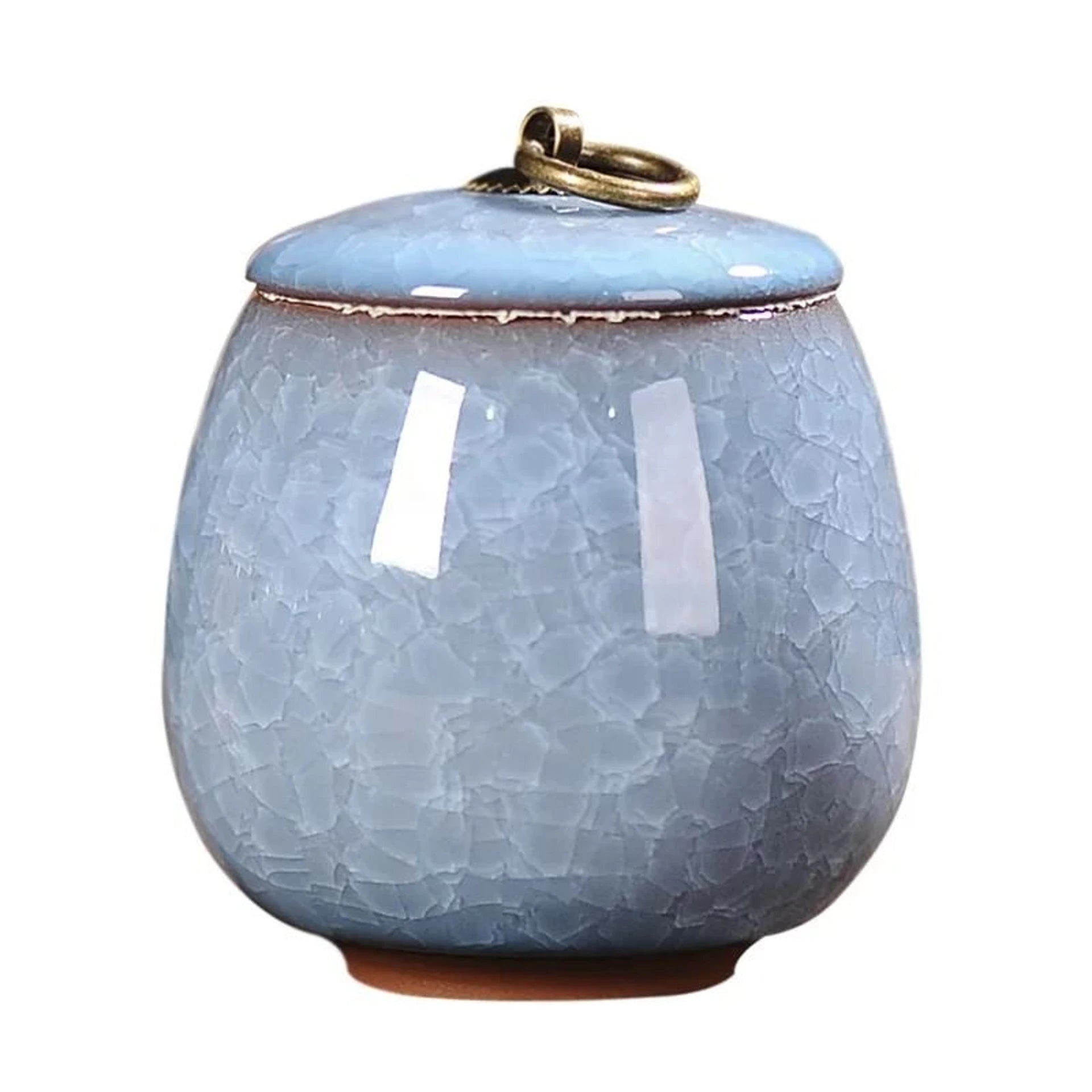 Decorative Ceramic Storage Jar with Lid for Tea, Coffee, Sugar & Kitchen Essentials