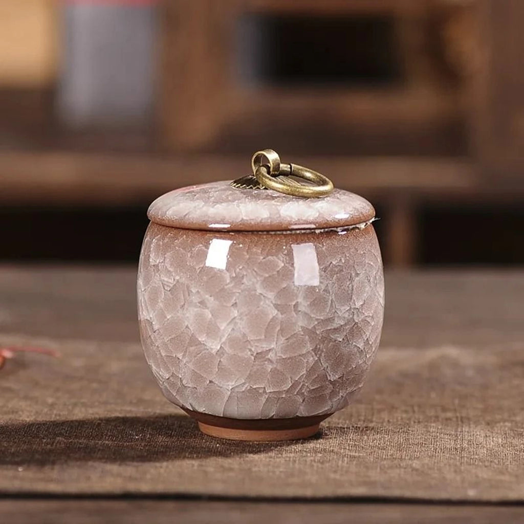 Decorative Ceramic Storage Jar with Lid for Tea, Coffee, Sugar & Kitchen Essentials